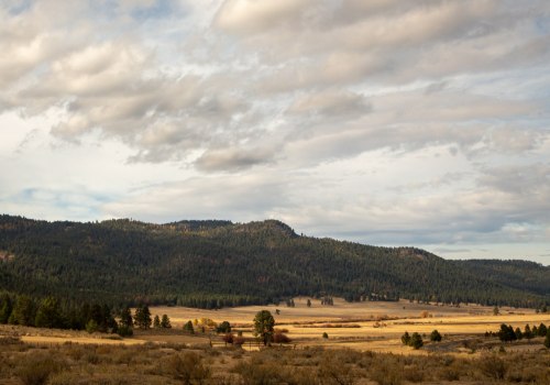 The Impact of Northwest Oregon's Natural Landscape on Local Artists